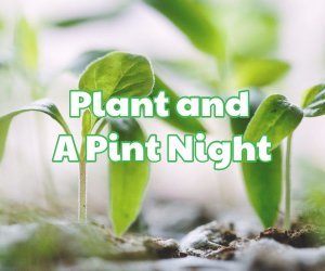 Plant and a Pint
